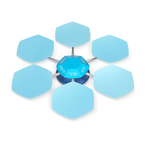 Passover Seder Plate - Bloom